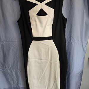 Stylish black and white dress